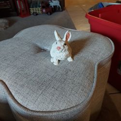 Little bunny