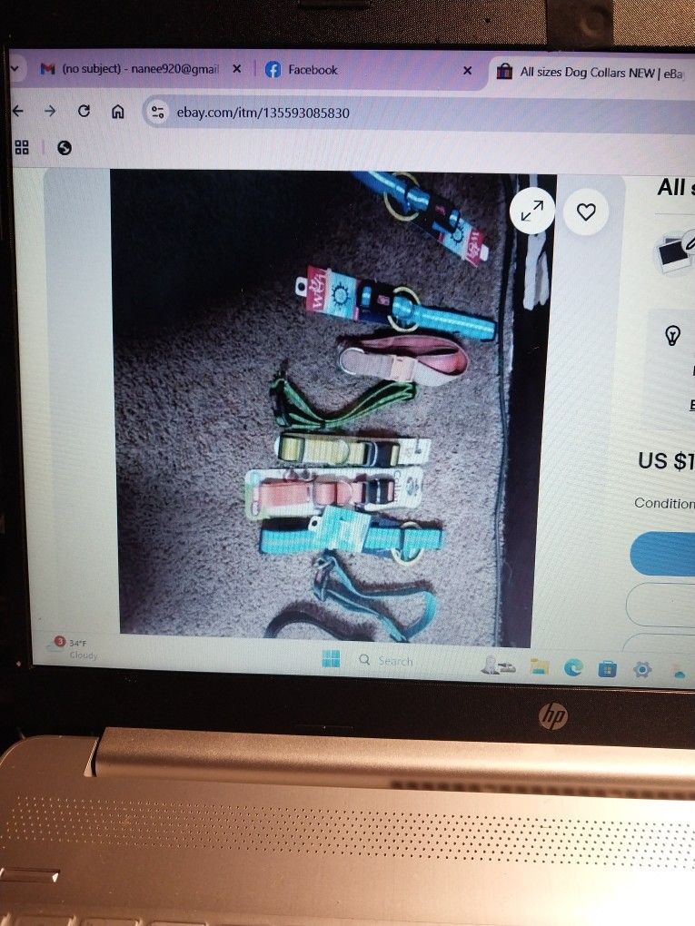 Dog Collars