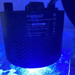 Kessil Saltwater Reef Light 