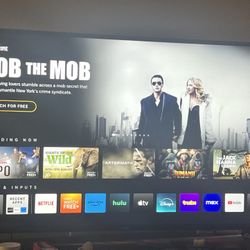 55 Inch Vizio Smart Tv