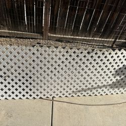 Fence 