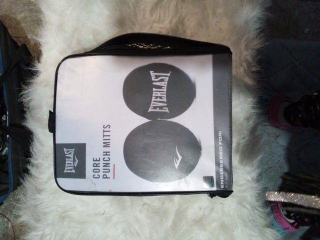 Everlast Core Punch Mitts