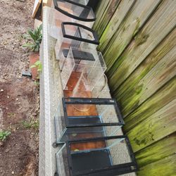 Beta Tanks (Small Fish Tanks)