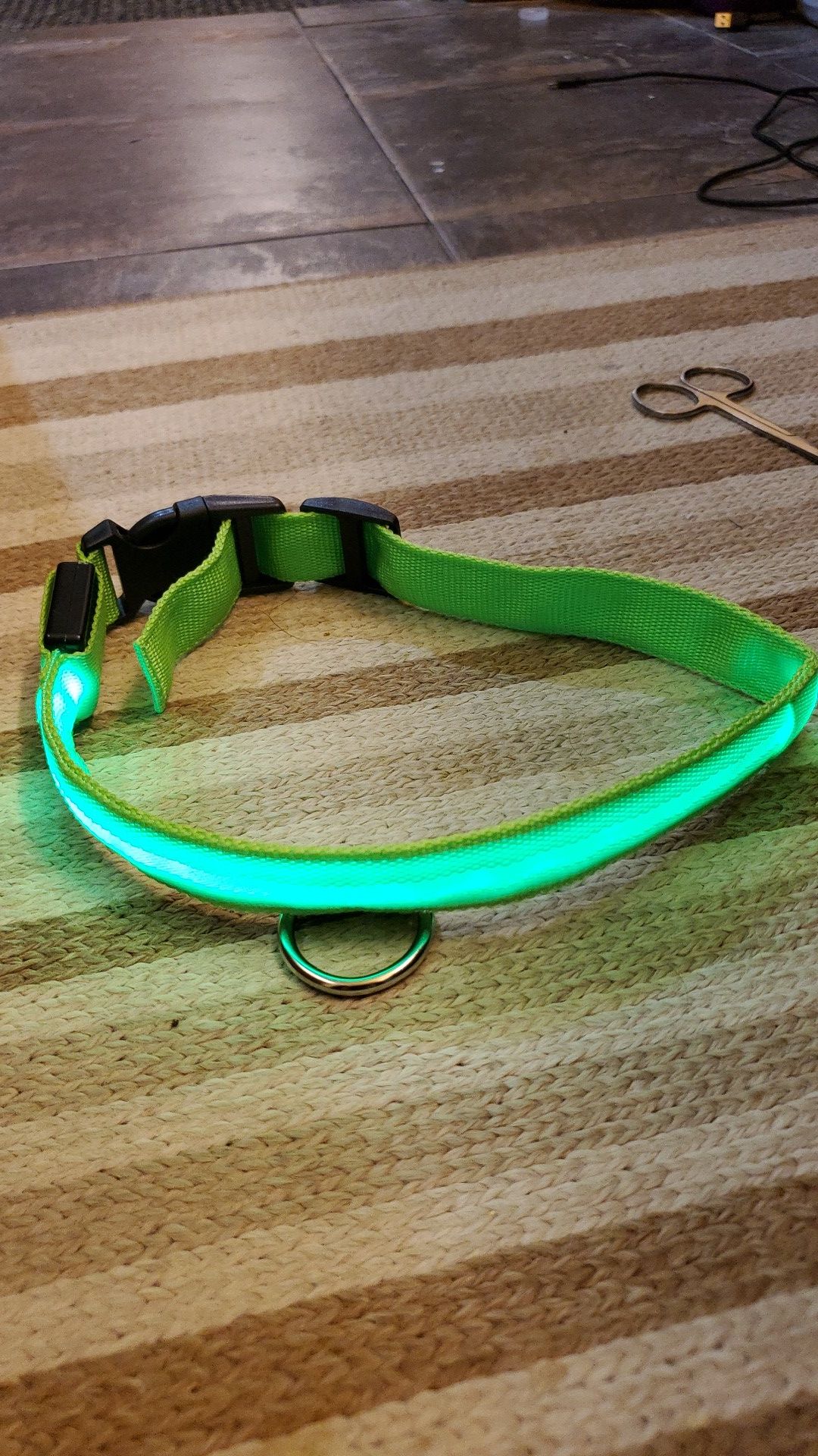Led Glow dog collar