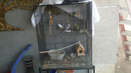 Birdcage