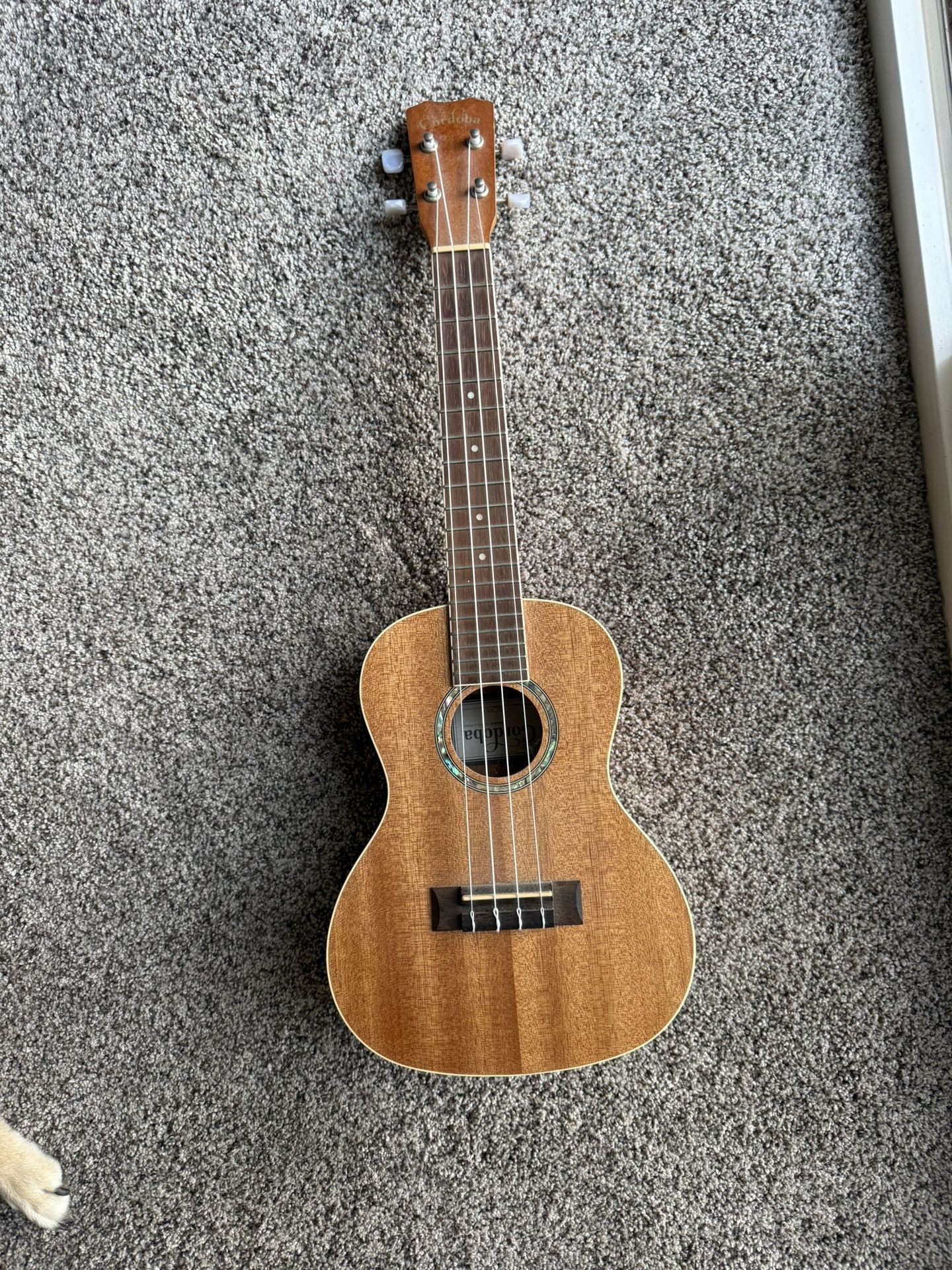 Cordoba Concert ukelele
