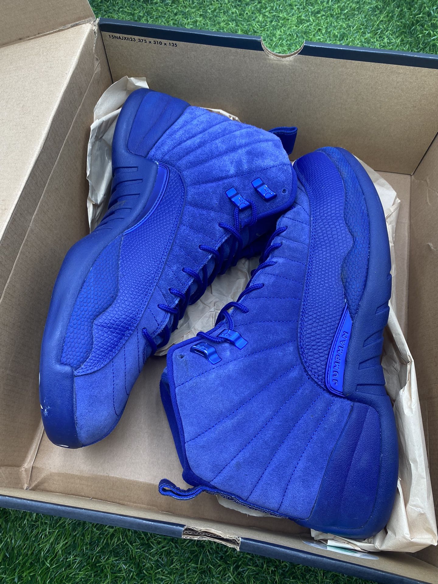 Jordan 12 “Deep Royal” Size 12M