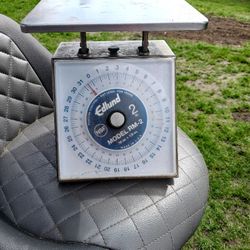 Edlund Scale