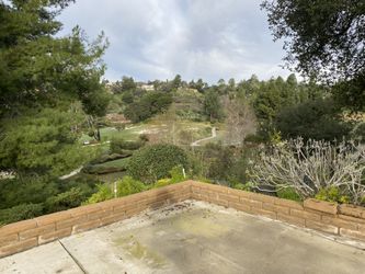 Brush Clearance/ Hillside Clearance