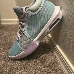 Nike LeBron Shoes 