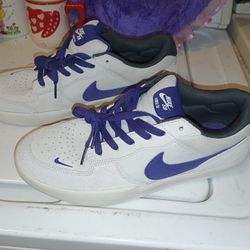 Mens Nike SB Force 58 Phantom/Court Purple size 10.5