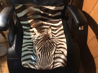 Zebra run over by a bus.