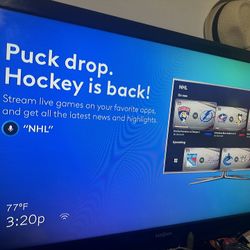 TV INSIGNIA 48inch Model# NS-46l240a13