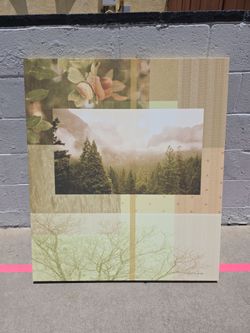 Large scenic forest and trees pictures collage (green and yellow/brown color sceme)