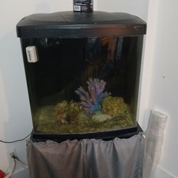 Aquarium Bio 32 Gallon 
