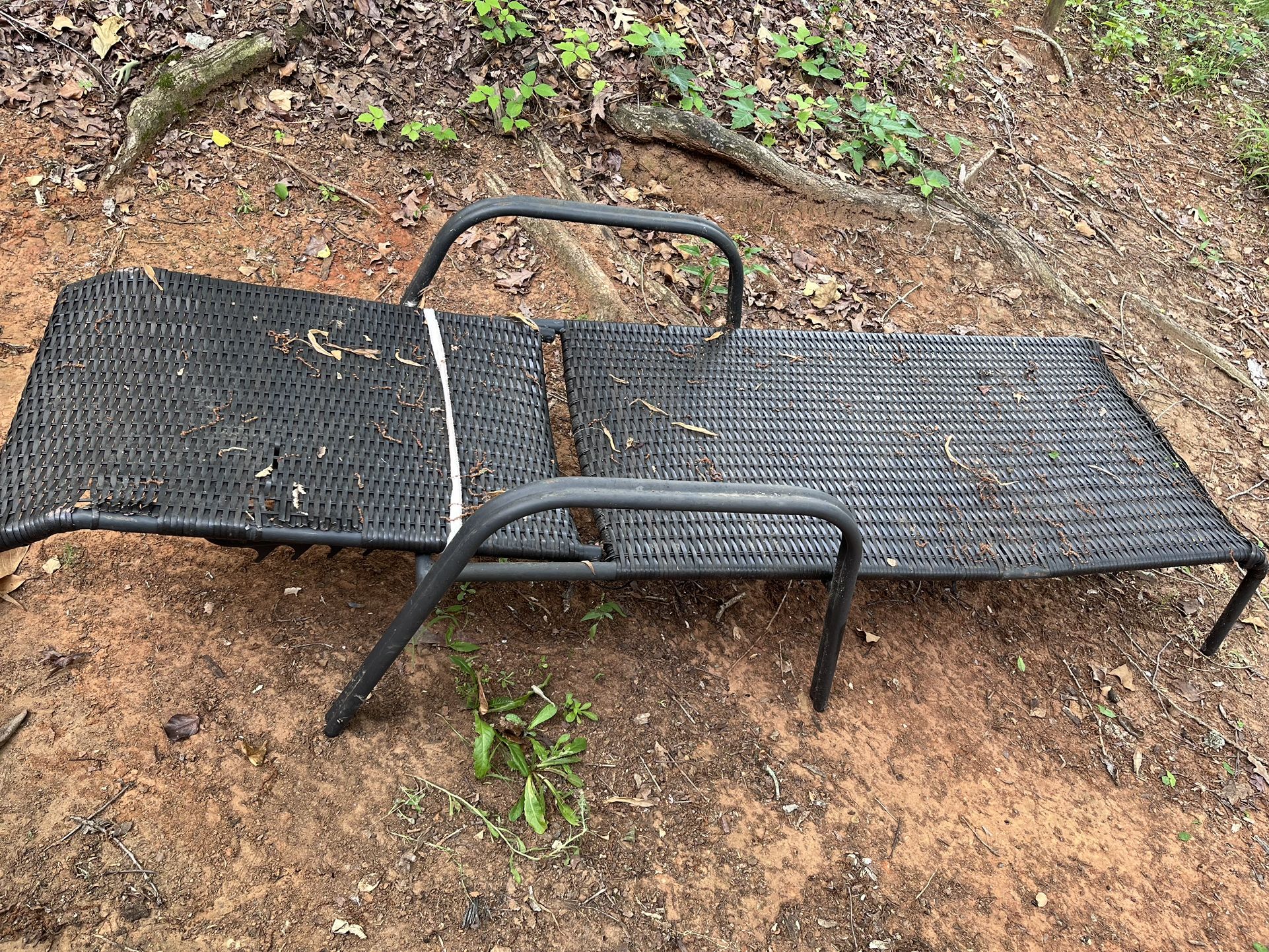 Sun bathing Chairs 