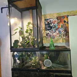 Custom Built Chameleon Cage