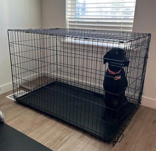 Brand New In Box! Not A Returned Item! 42" Xl'xxl Up To 90lbs Dog Crate 2 Doors & Tray Pet Cage Jauls De Mascota