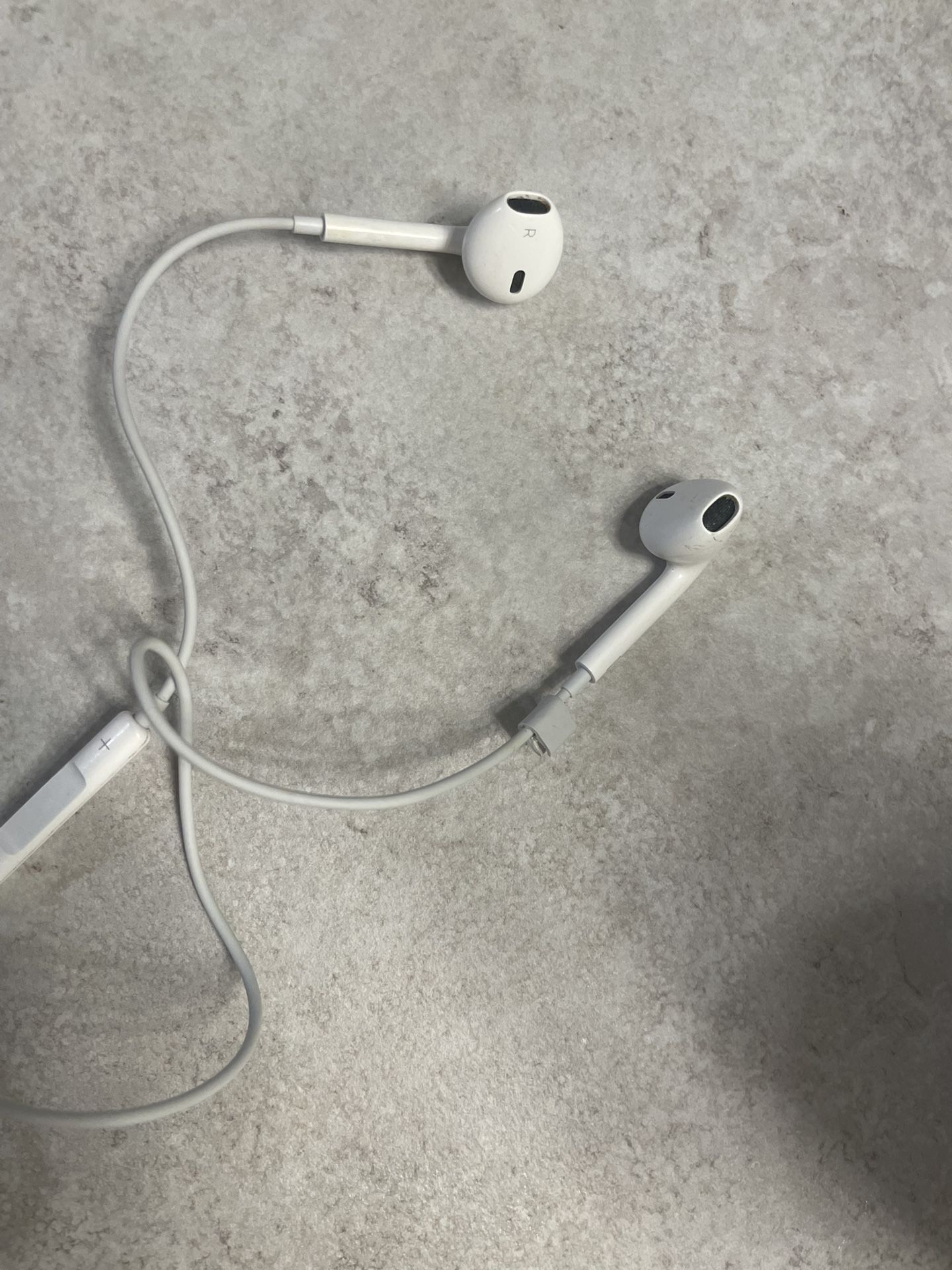Apple Earbuds