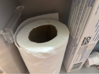 Used toilet paper (1 singular roll)