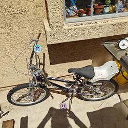 20" Bike With Horn & Doll Seat