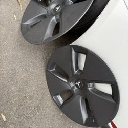 Tesla Hubcaps