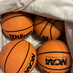 Wilson-Evo Basketballs 