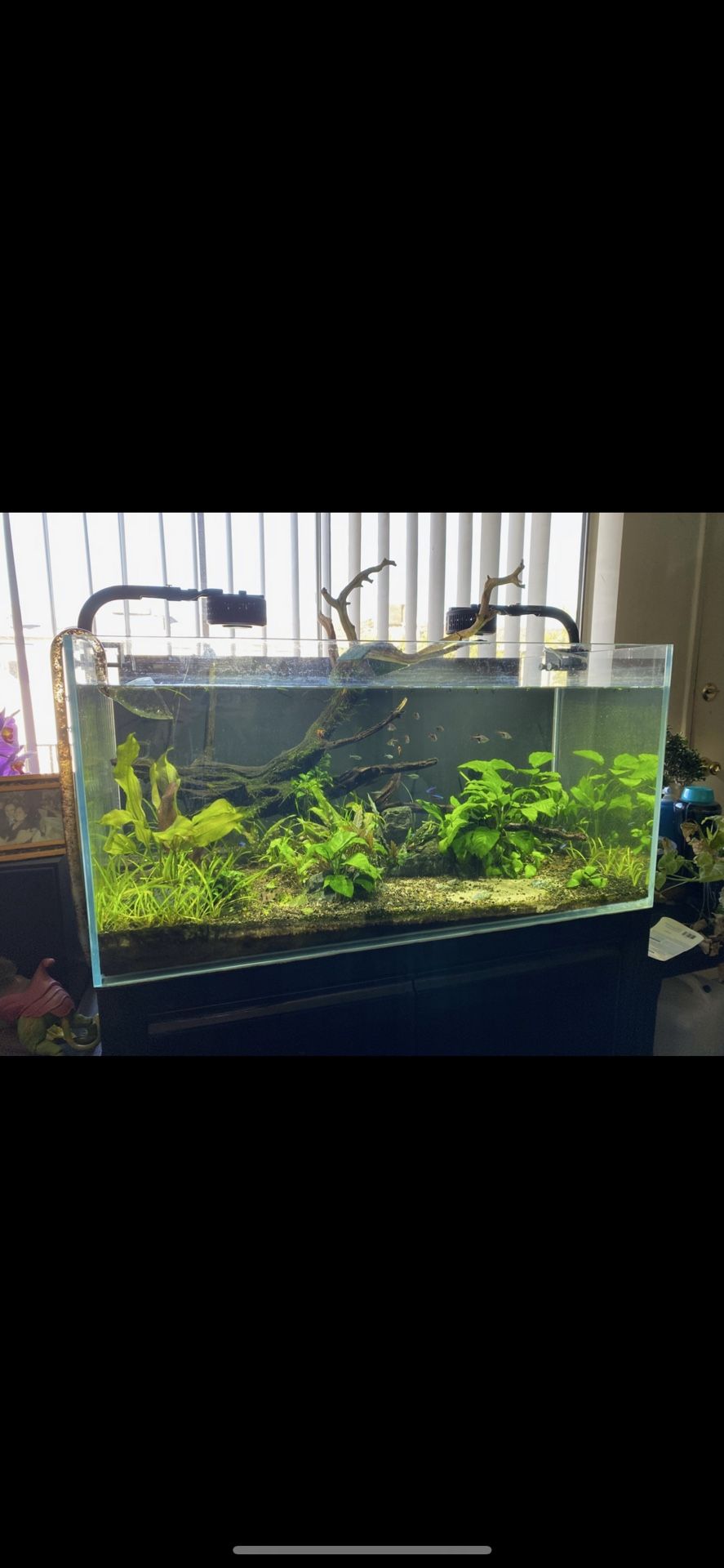 Camry 67 Gallon Rimless Fish Tank Aquarium With Camry Stand