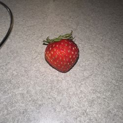 Mini Strawberry 