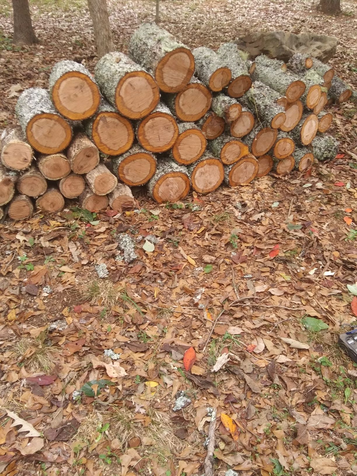 Wood