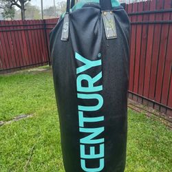 Punching Bag 