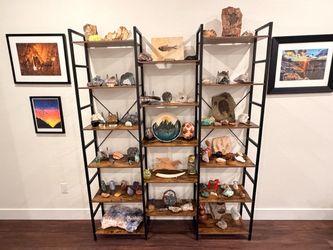 Book/display case