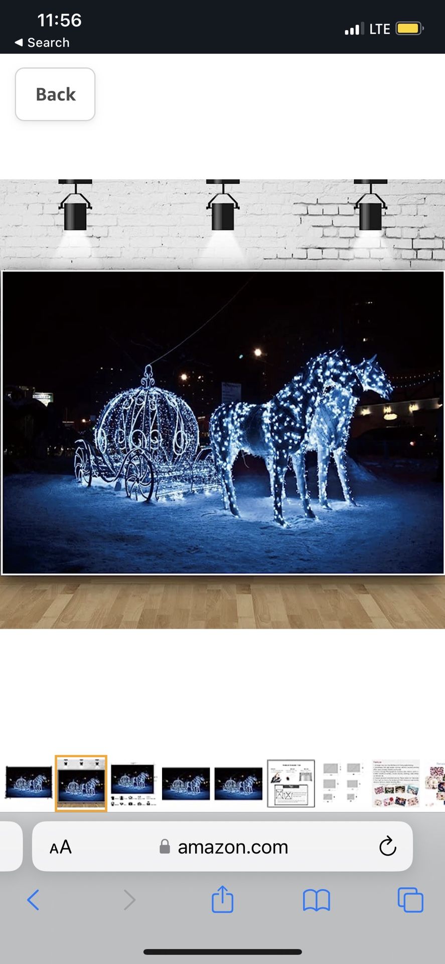 Cinderella Photo Backdrop 