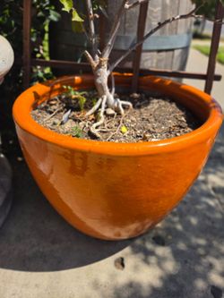 Large Orange Glazed Ceramic Planter Pot