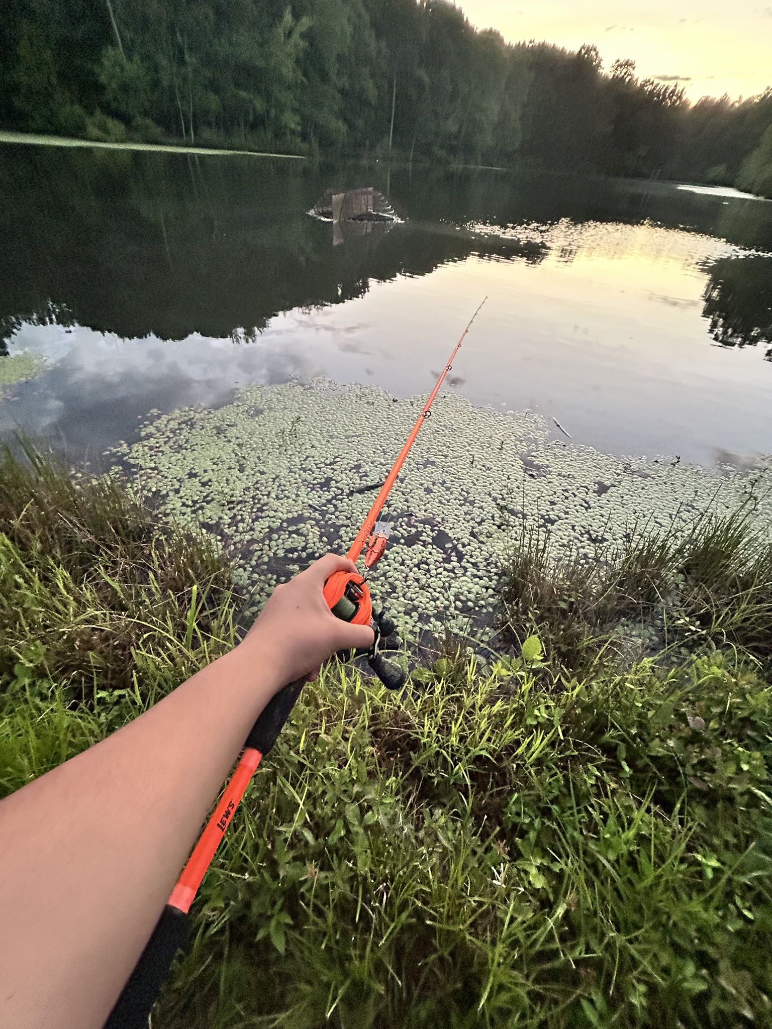 Lews Xfinity Fishing Rod And Baitcaster