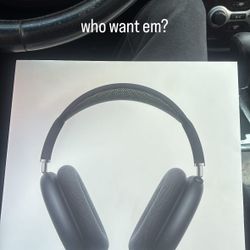 air pods max