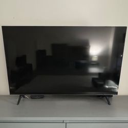 30 Inch TV ( LG )