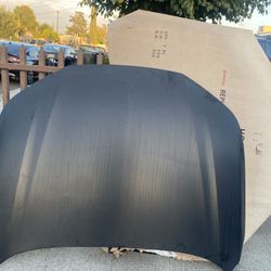 Hood 2023/2025 Honda Accord 