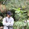 Thinh Mai