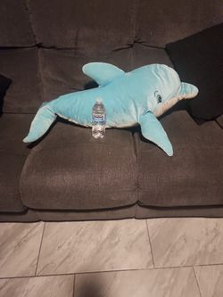 Cute Blue Baby Dolphin Pet Free/Smoke Free Household.