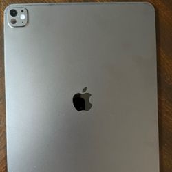 Apple iPad 13” Pro M4 With 512 gig Memory Cell/wifi (unlocked)