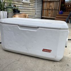 Large Coleman Cooler 32"x 15" Inside - White