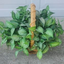 Decorative - Plant (Artificial) w/ Wicker Basket
