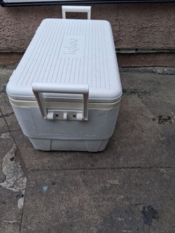 Cooler