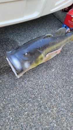 Fish Mailbox