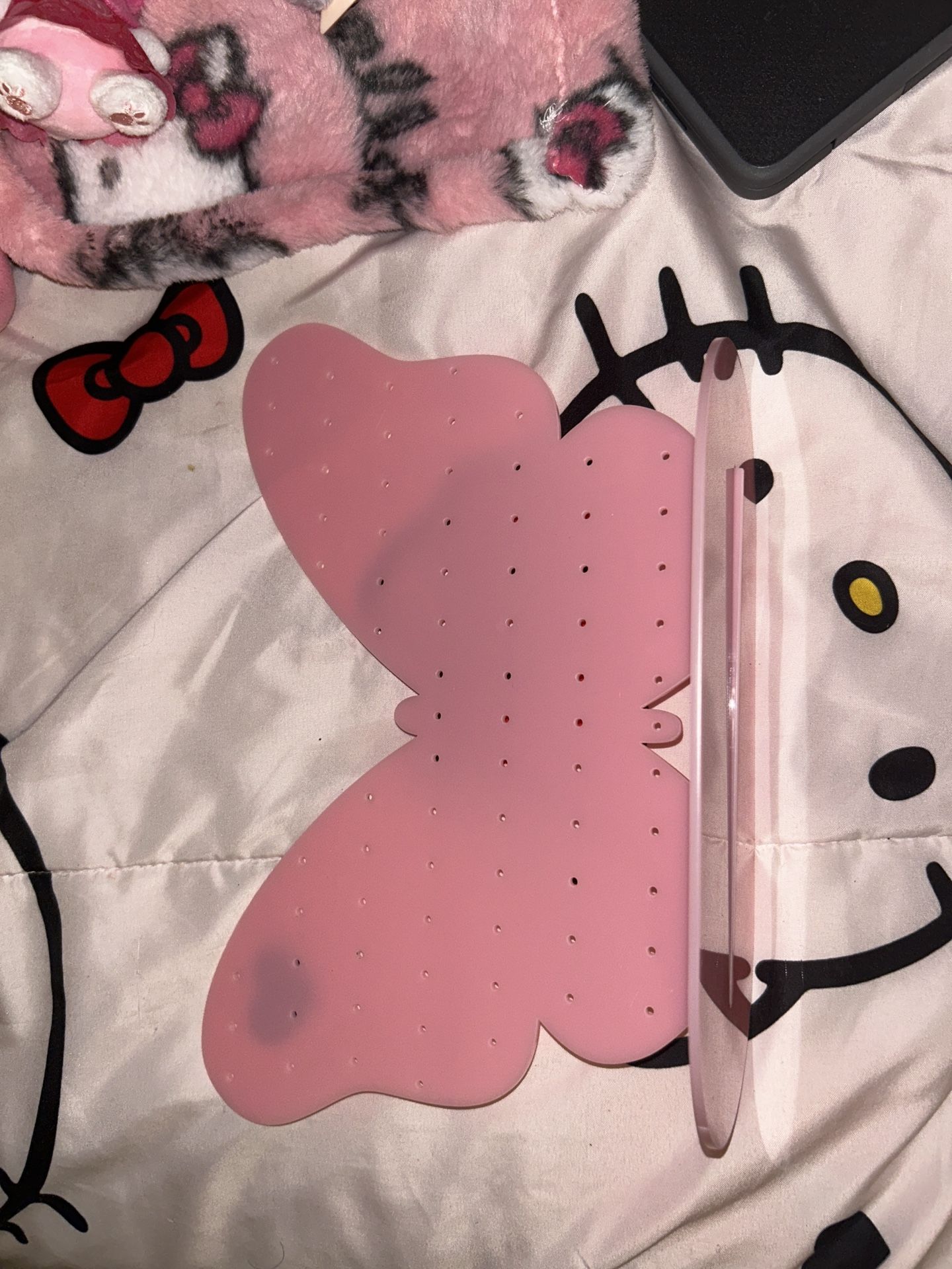 Earring Holder