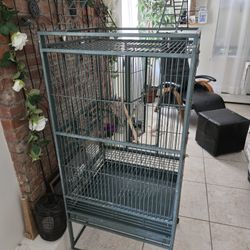 Case for birth