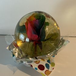 Rainbow Rose Globe 