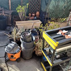 Planters / Pots Lot 