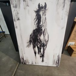Horse Picture